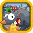 Crazy Little Rat Stuck in Road - Extreme Traffic Rodent Defense Crazy Little Rat Stuck in Road - Extreme Traffic Rodent Defense