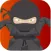 Useless Stupid Ninja Game