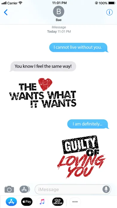 ภาพหน้าจอของ Love After Lockup Stickers