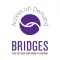 Bridges Interpreter