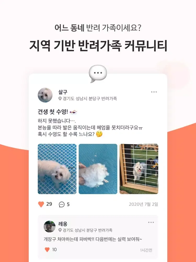 Screenshot di 와글와글 - 우리 동네 반려생활 커뮤니티,반려동물 산책 iPad 