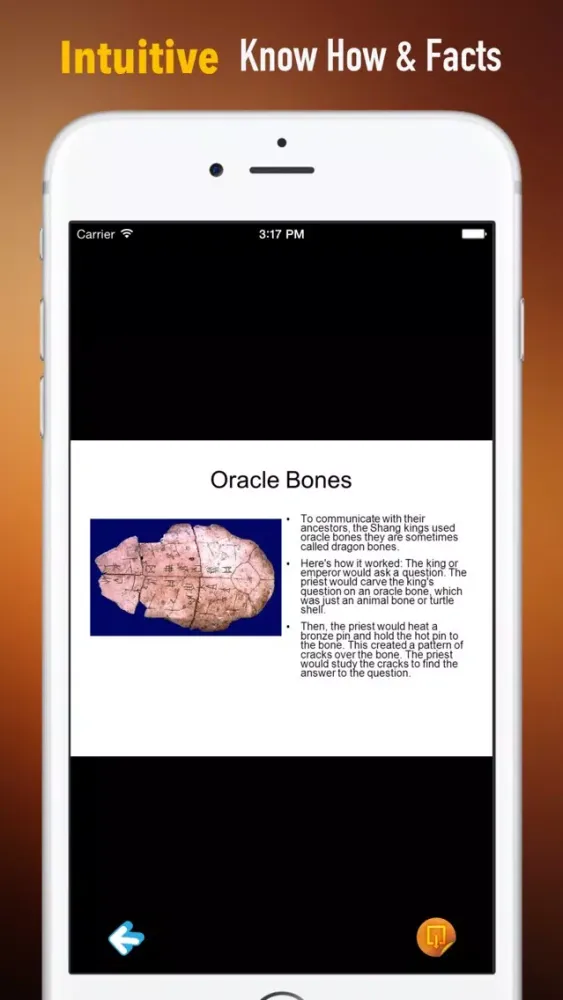 Oracle Bones:Guide with Glossary and Archeology應用截圖