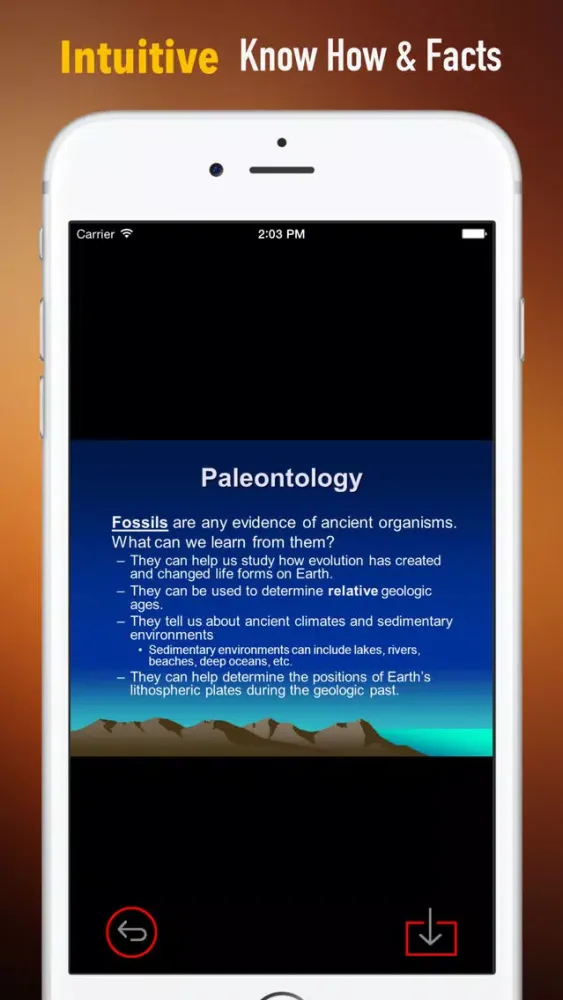 Ảnh chụp màn hình của Paleontology Glossary: Cheatsheet with Study Guide