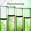Phytochemicals:Healthy Diet and Nutrition
