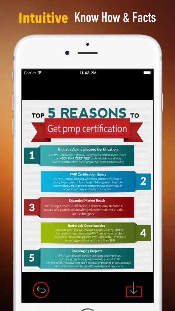 Скриншоты Project Management Professional Certification