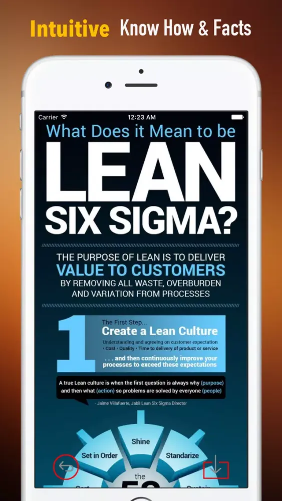 Ảnh chụp màn hình của Six Sigma Guidance|Glossary and Free Video Lessons