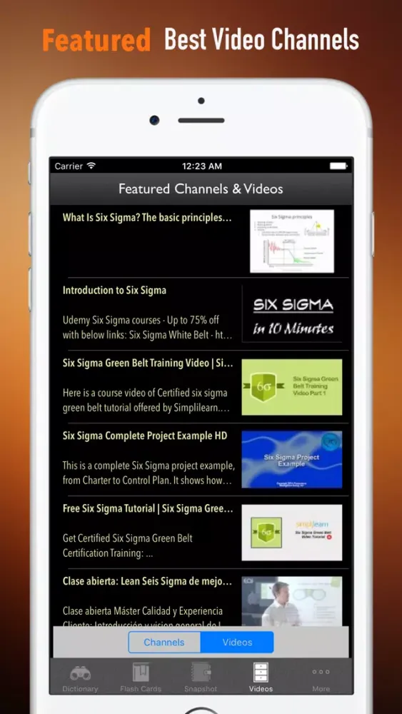 Ảnh chụp màn hình của Six Sigma Guidance|Glossary and Free Video Lessons