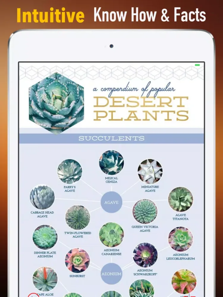 Succulents Plant for Beginners:Care Tips and Guide iPad  स्क्रीनशॉट