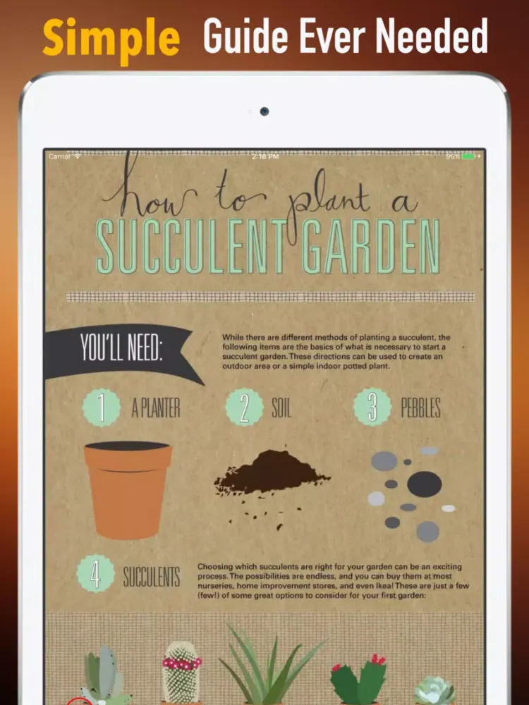 Succulents Plant for Beginners:Care Tips and Guide iPad  स्क्रीनशॉट