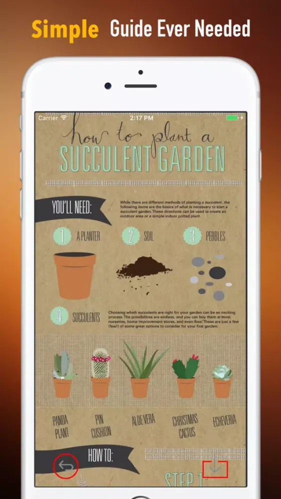 Succulents Plant for Beginners:Care Tips and Guide स्क्रीनशॉट