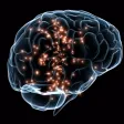 How to Improve Your Memory-Mnemonics Guide or Tips