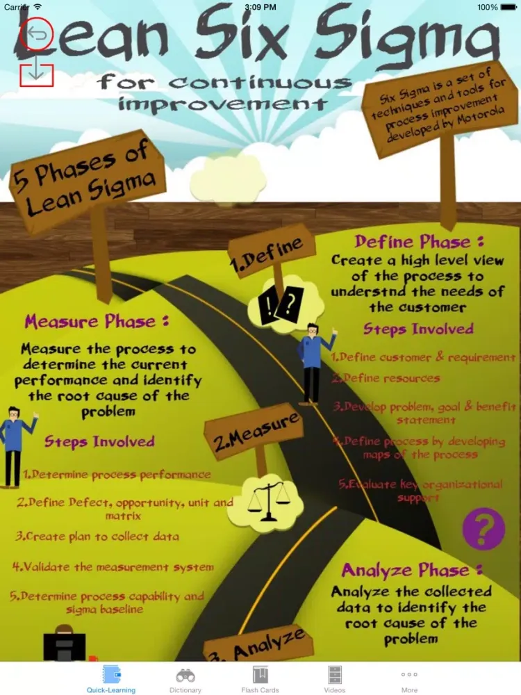 6 Sigma Guidance: Six Sigma Cheat Sheets with Glossary and Free Video Lessons iPad  Ekran Görüntüleri