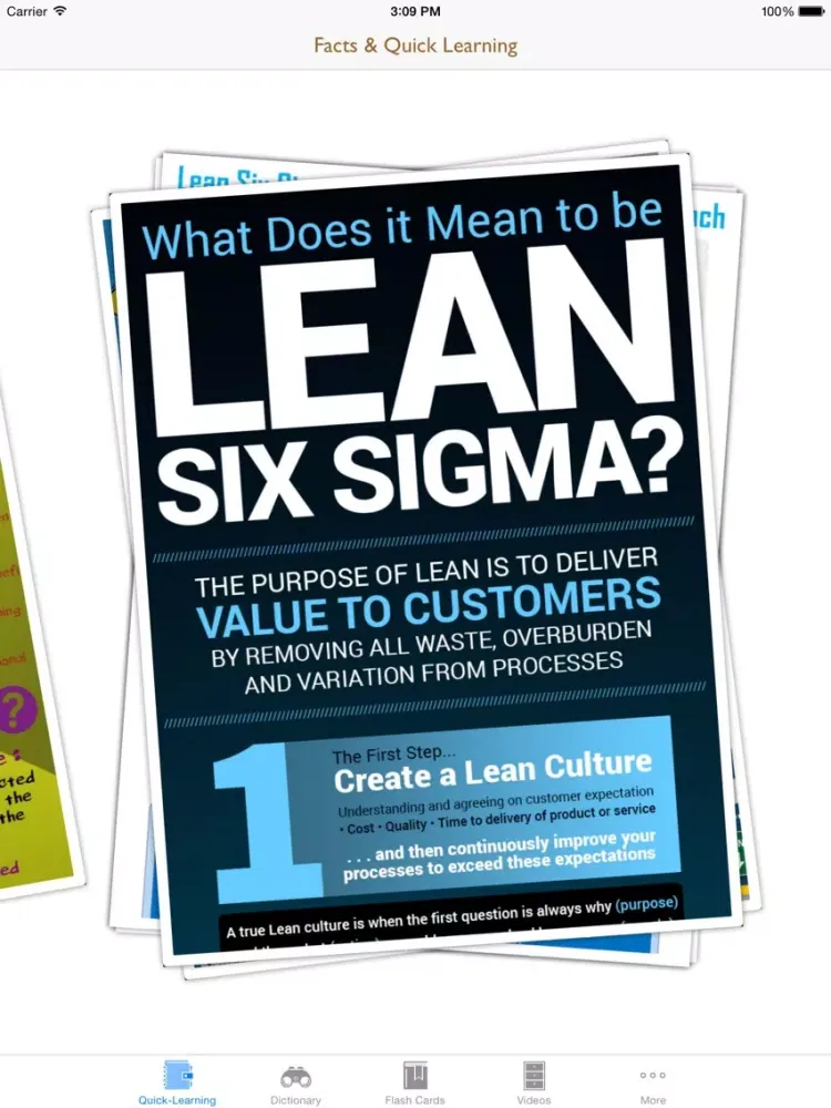 6 Sigma Guidance: Six Sigma Cheat Sheets with Glossary and Free Video Lessons iPad  Ekran Görüntüleri