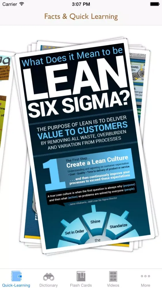 6 Sigma Guidance: Six Sigma Cheat Sheets with Glossary and Free Video Lessons Ekran Görüntüleri