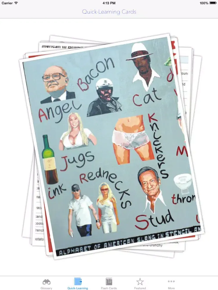 Capturas de tela do American Slang and Videos: Dictionary with Flashcard and Free video Lessons iPad 