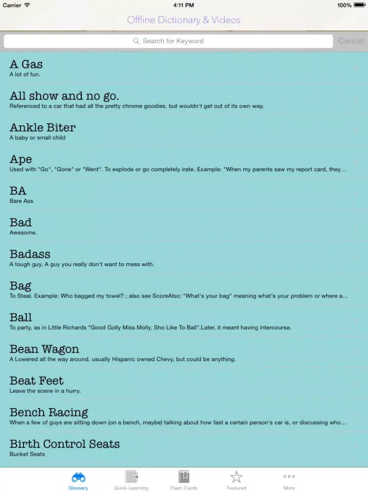 Capturas de tela do American Slang and Videos: Dictionary with Flashcard and Free video Lessons iPad 