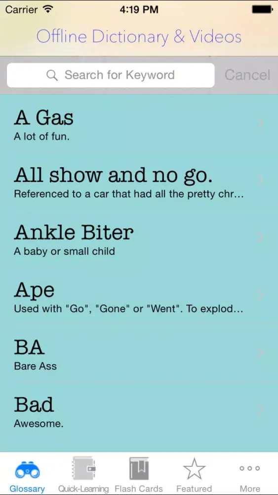 Capturas de tela do American Slang and Videos: Dictionary with Flashcard and Free video Lessons