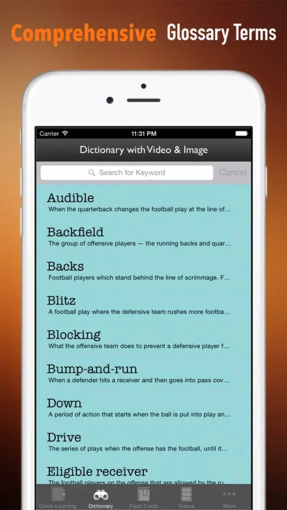 American Football 101: Quick Learning Reference with Video Lessons and Glossary应用截图