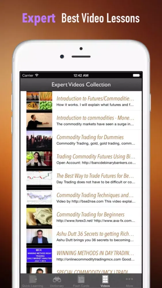 Captures d'écran de Commodities and Precious Metal Trading Quick Reference: Dictionary with Video Lessons