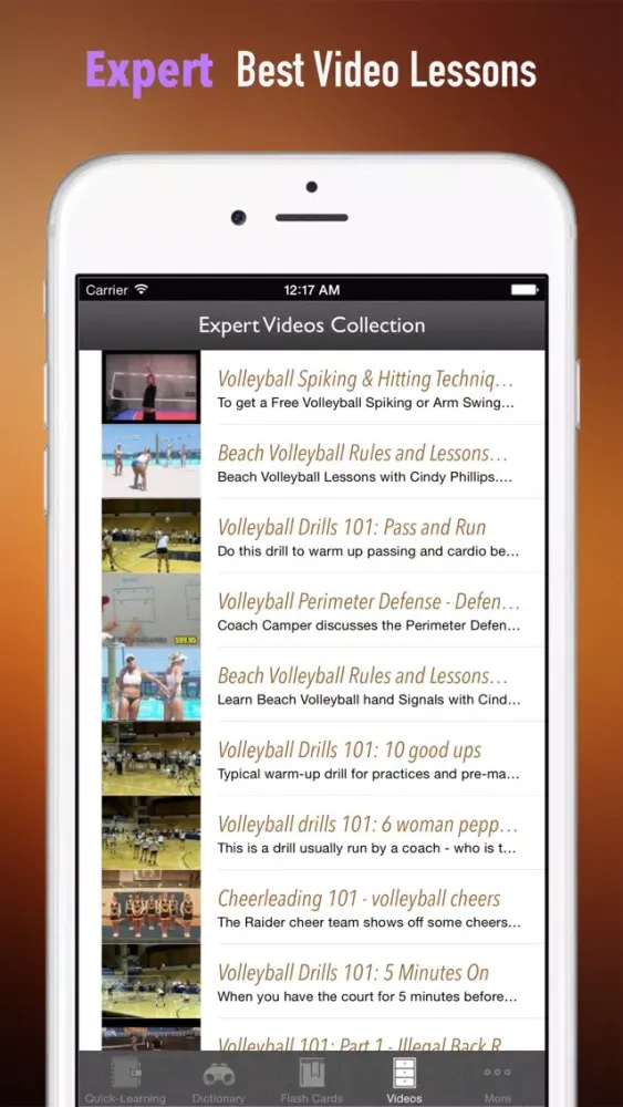 Volleyball 101: Quick Learning Reference with Video Lessons and Glossary سکرین شاٹس