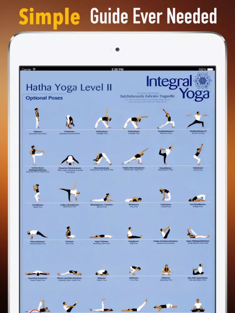 Hatha Yoga 101: Techniques and Tutorials iPad  Ekran Görüntüleri