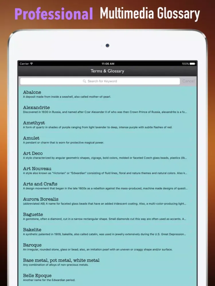 Jewelry 101: Tutorial with Trends and Glossary iPad 应用截图