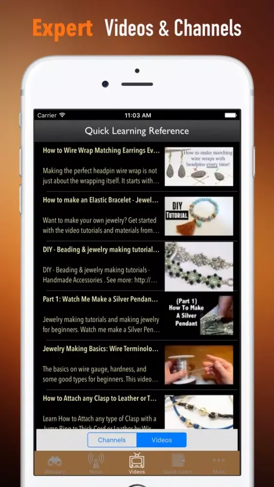 Jewelry 101: Tutorial with Trends and Glossary应用截图
