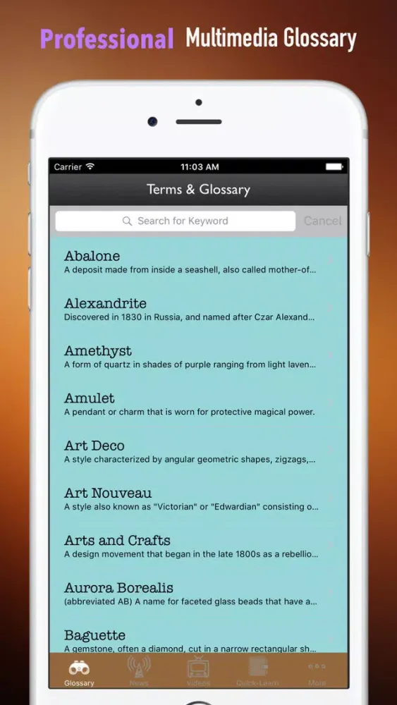 Jewelry 101: Tutorial with Trends and Glossary应用截图