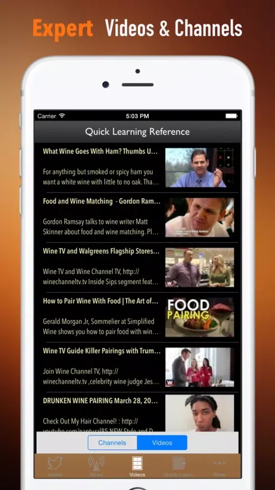 ภาพหน้าจอของ Food and Wine 101: Reference with Tutorial Guide and Latest Events