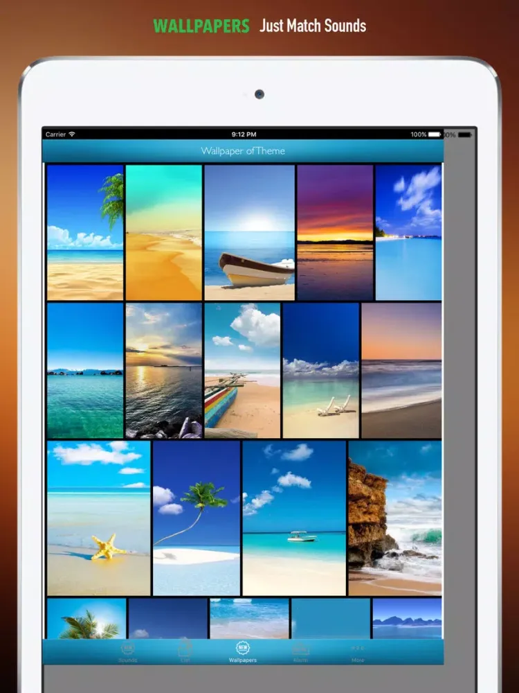 Seagull Sounds and Wallpapers: Theme Ringtones and Alarm iPad  Ekran Görüntüleri