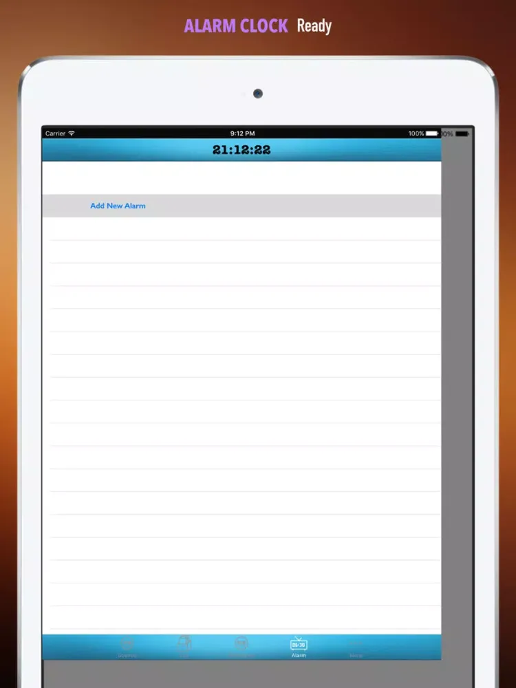 Seagull Sounds and Wallpapers: Theme Ringtones and Alarm iPad  Ekran Görüntüleri