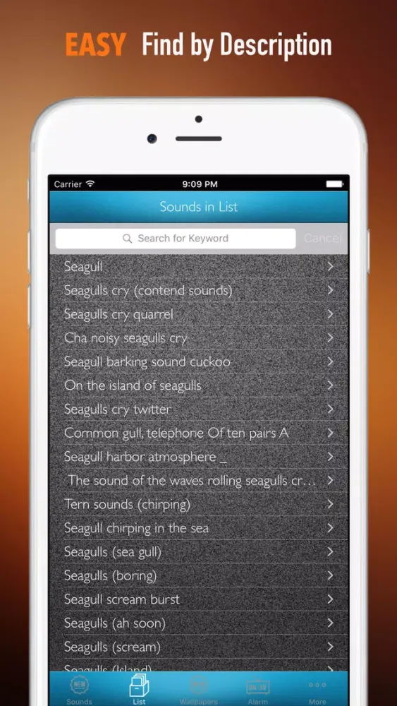 Seagull Sounds and Wallpapers: Theme Ringtones and Alarm Ekran Görüntüleri
