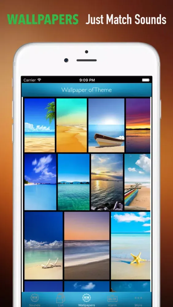 Seagull Sounds and Wallpapers: Theme Ringtones and Alarm Ekran Görüntüleri