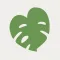 Komorebi: Cozy Plant Puzzle