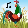 Farm Sounds - Memory game for kids Farm Sounds - Memory game for kids