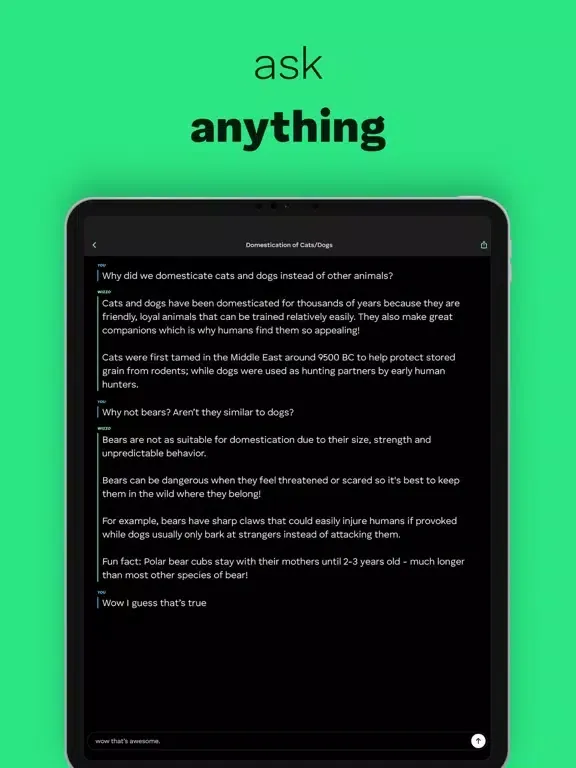 Ask Wizzo - Learn anything iPad  سکرین شاٹس