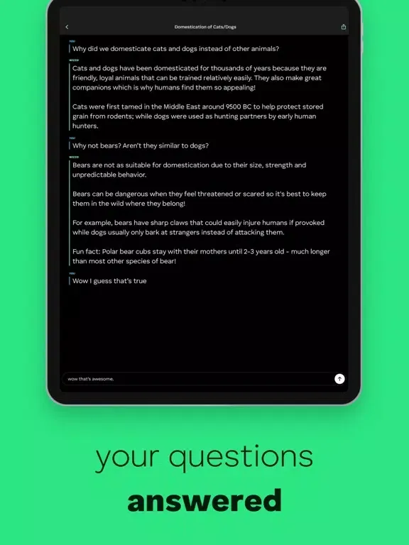 Ask Wizzo - Learn anything iPad  سکرین شاٹس