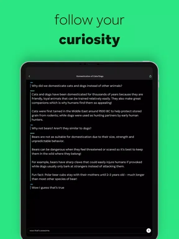 Ask Wizzo - Learn anything iPad  سکرین شاٹس