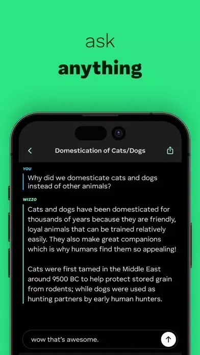 Ask Wizzo - Learn anything سکرین شاٹس