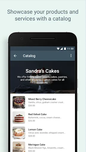 WhatsApp Business Screenshots