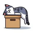 解忧小猫咪 解忧小猫咪