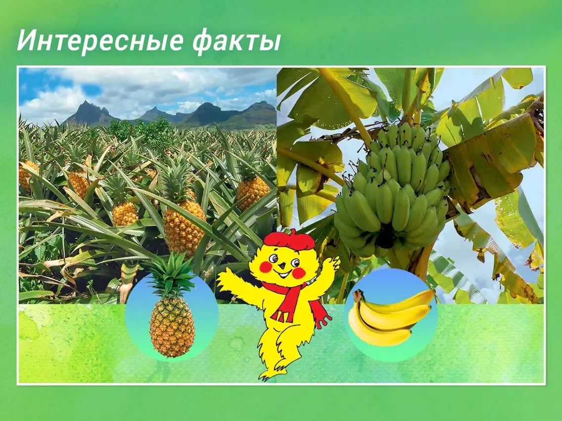 Screenshot di Мурзилка - литературный журнал iPad 