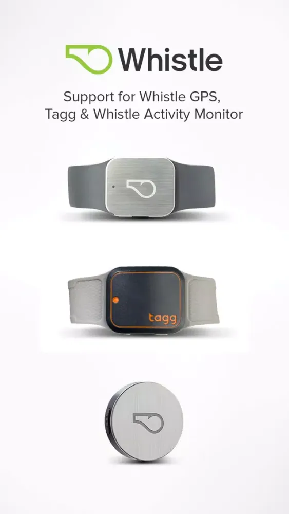 Tangkapan skrin Whistle Legacy