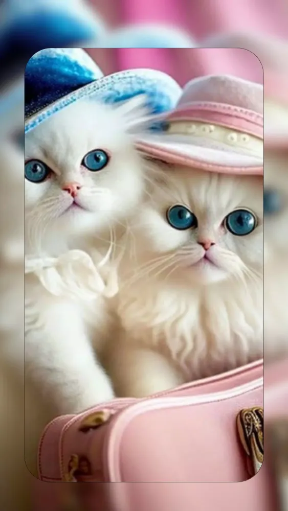 Capturas de tela do White Cat Wallpapers 4K