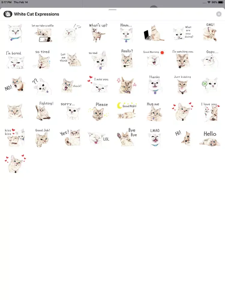 White Cat Expressions iPad سکرین شاٹس