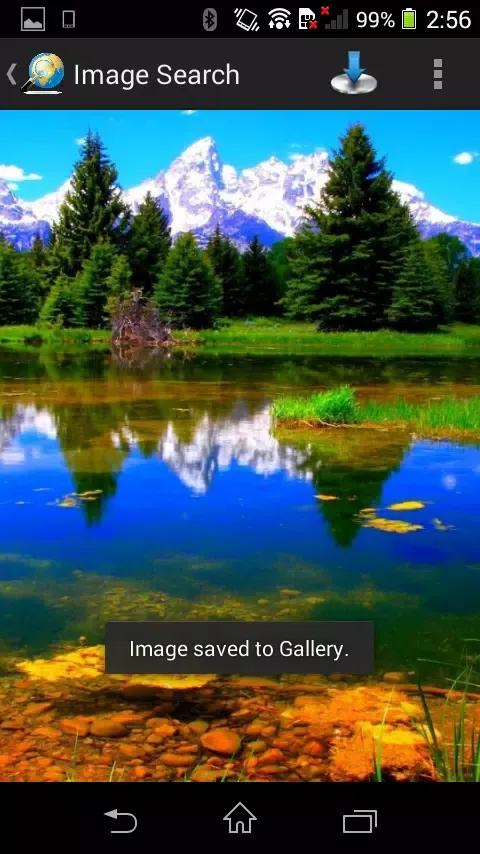 Image Search スクリーンショット