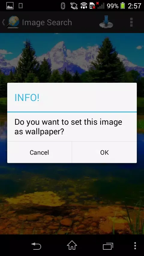 Image Search スクリーンショット