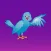 Fly Birdy