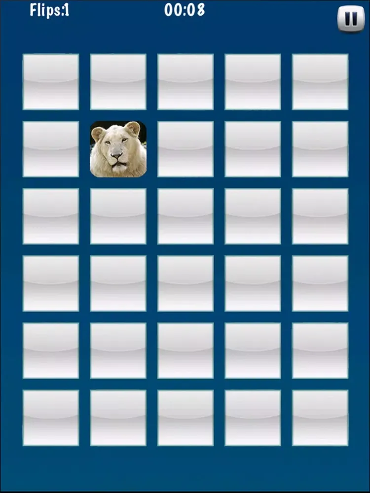 Memorize Icon iPad  Screenshots