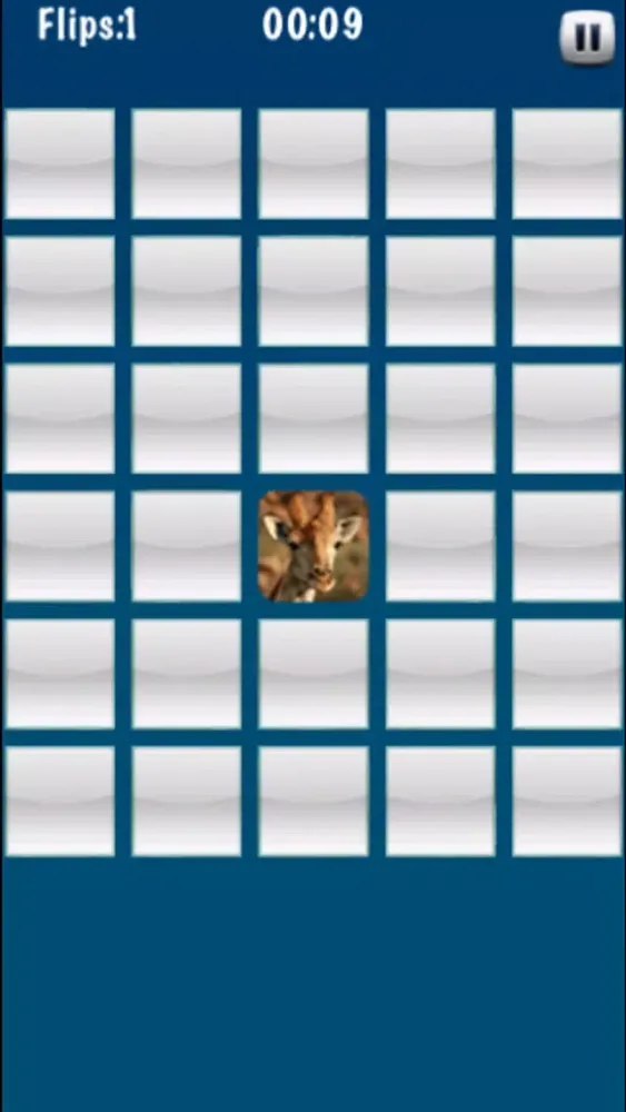 Memorize Icon Screenshots